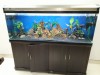Fish Tank-Aquarium